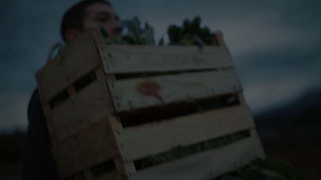 Video Reference: Cloud, Sky, Wood, Tree, Building, Haze, Fog, House, Landscape, Mist