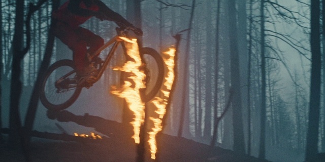 Video Reference: Atmosphere, Wheel, Street light, Wood, Sunlight, Plant, Atmospheric phenomenon, Tree, Twig, Fire