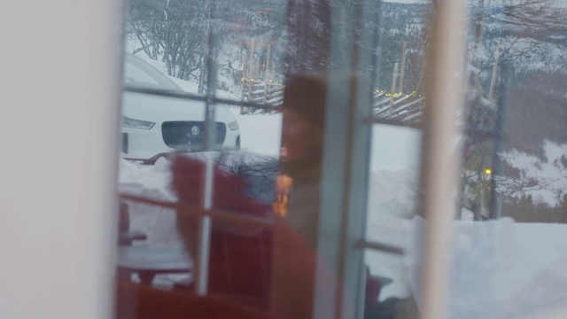 Video Reference: Snow, Window, Wood, Tree, Fixture, Freezing, Tints and shades, Glass, Automotive exterior, Door