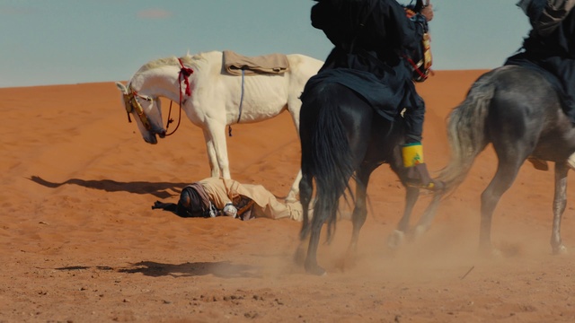 Video Reference: Natural environment, Working animal, Sky, Landscape, Recreation, Pack animal, Rein, Sand, Livestock, Singing sand