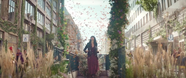 Video Reference: Plant, Building, Flower, Daytime, Sky, Cloud, Light, Botany, Leaf, Window