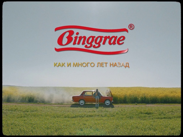 Video Reference: Tire, Plant, Wheel, Vehicle, Ecoregion, Motor vehicle, Car, Product, Land lot, Rectangle