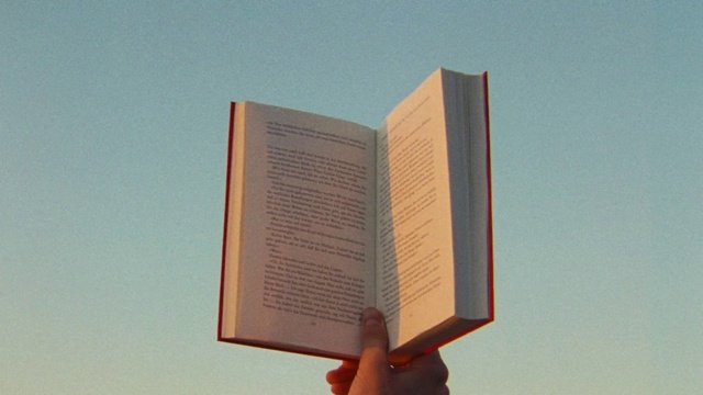 Video Reference: Sky, Publication, Book, Natural landscape, Font, Landscape, Wood, Horizon, Rectangle, Paper product