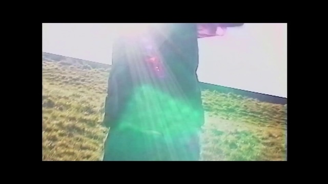 Video Reference: Plant, Rectangle, Grass, Tree, Tints and shades, People in nature, Landscape, Magenta, Display device, Grassland