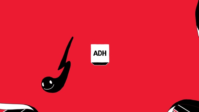 Video Reference: Font, Automotive design, Magenta, Art, Logo, Symbol, Graphics, Brand, Carmine, Motor vehicle