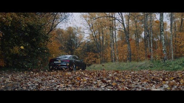 Video Reference: Tire, Car, Plant, Vehicle, Automotive lighting, Wheel, Window, Motor vehicle, Tree, Natural landscape