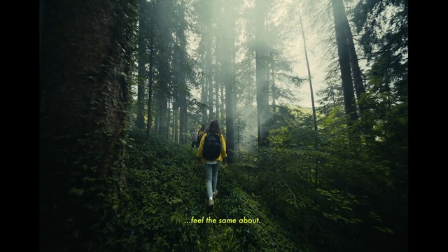 Video Reference: Plant, Sky, People in nature, Natural environment, Tree, Natural landscape, Terrestrial plant, Wood, Trunk, Sunlight