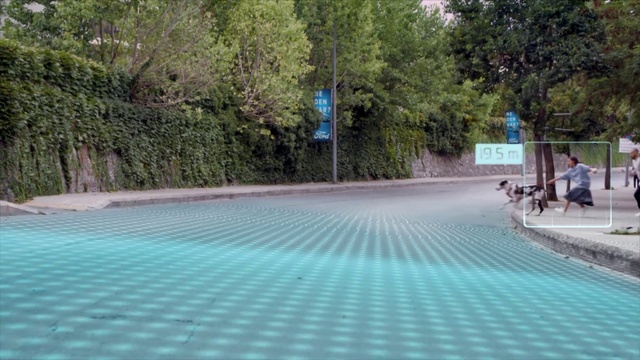 Video Reference: Plant, Road surface, Swimming pool, Tree, Shade, Asphalt, Grass, Water, Leisure, Composite material