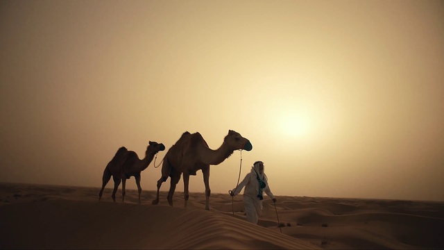 Video Reference: Sky, Camel, Camelid, Fawn, Working animal, Landscape, Aeolian landform, Arabian camel, Singing sand, Erg