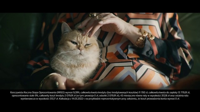 Video Reference: Cat, Felidae, Gesture, Carnivore, Flash photography, Font, Small to medium-sized cats, Whiskers, Photo caption, Screenshot