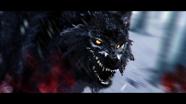 Video Reference: Carnivore, Fang, Felidae, Flash photography, Whiskers, Small to medium-sized cats, Snout, Darkness, Terrestrial animal, Fictional character