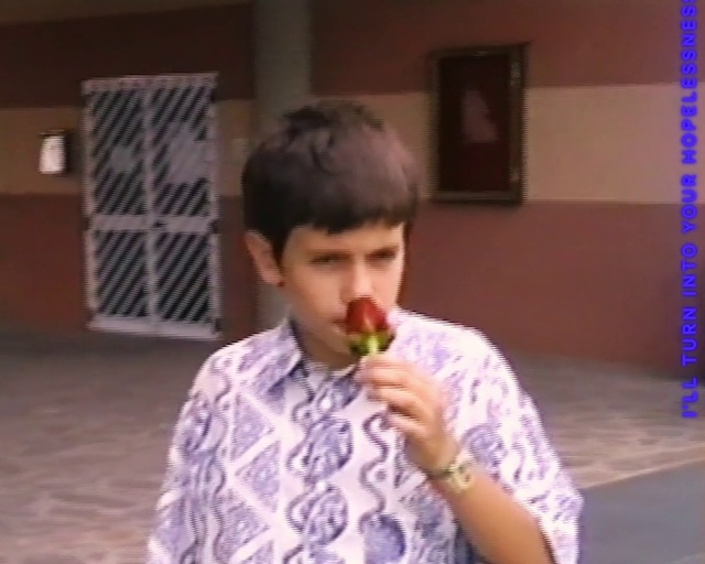 Video Reference: Food, Sharing, Plant, Happy, Picture frame, Fun, Fruit, Child, Toddler, Chair