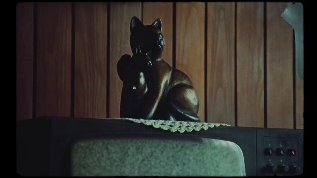 Video Reference: Felidae, Carnivore, Wood, Small to medium-sized cats, Rectangle, Whiskers, Statue, Art, Cat, Window