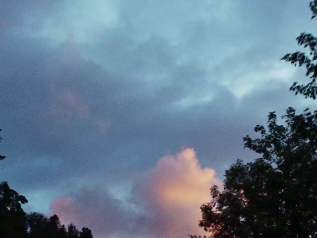 Video Reference: Cloud, Sky, Atmosphere, Natural landscape, Dusk, Tree, Afterglow, Cumulus, Atmospheric phenomenon, Horizon