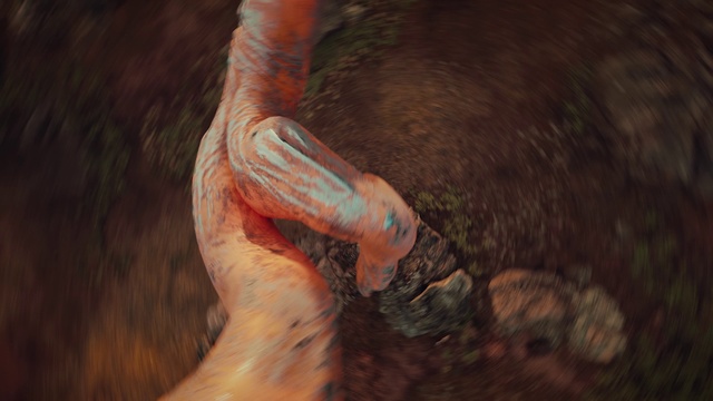 Video Reference: Leg, Dress, Art, Human leg, Foot, Elbow, People in nature, Wrist, Wood, Soil