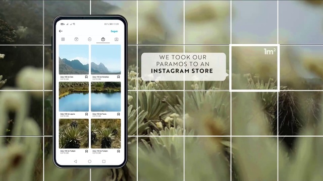 Video Reference: Product, Communication Device, Mobile phone, Font, Water, Gadget, Portable communications device, Adaptation, Iphone, Plant