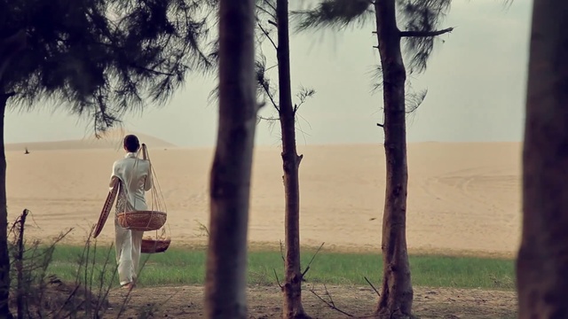 Video Reference: Plant, Sky, People in nature, Flash photography, Wood, Happy, Grass, Sunlight, Tree, Natural landscape