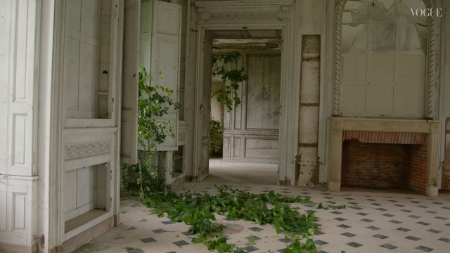 Video Reference: Plant, Building, Window, Wood, Door, House, Interior design, Flooring, Fixture, Houseplant