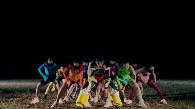 Video Reference: Grass, Leisure, Entertainment, Event, Recreation, Performing arts, Team sport, Sports, Fun, Plant