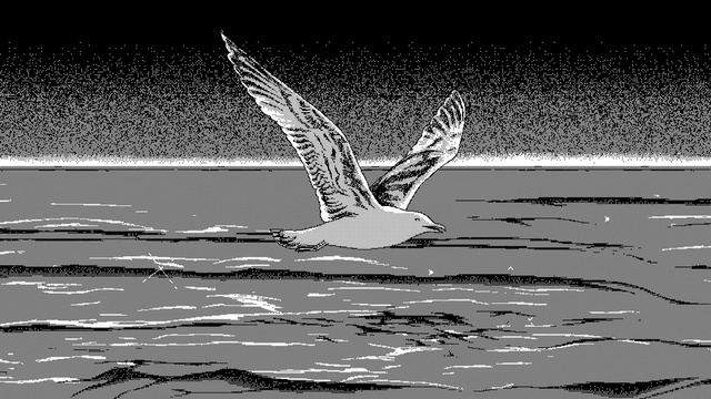 Video Reference: Hand, Nature, Plant, Organism, Gesture, Art, Water, Font, Tree, Monochrome photography