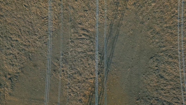 Video Reference: Brown, Road surface, Wood, Grey, Asphalt, Beige, Bedrock, Grass, Trunk, Concrete