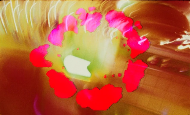 Video Reference: Petal, Plant, Pink, Flower, Magenta, Tints and shades, Rose family, Flowering plant, Cut flowers, Sweetness