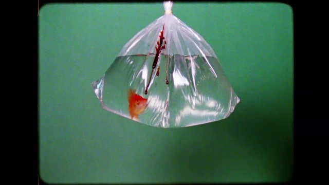 Video Reference: Triangle, Rectangle, Art, Office supplies, Tints and shades, Creative arts, Plastic, Transparent material, Fashion accessory, Glass