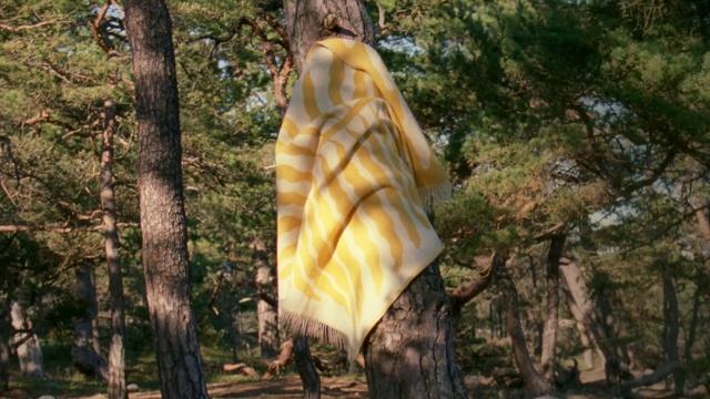 Video Reference: Plant, People in nature, Tree, Wood, Trunk, Fawn, Grass, Tints and shades, Art, Forest