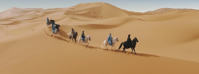 Video Reference: Photograph, Ecoregion, Sky, Natural environment, Travel, Working animal, Morning, Erg, Horizon, Landscape