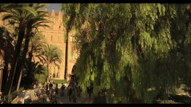 Video Reference: Building, Natural environment, Plant, Tree, Vegetation, Sunlight, Biome, Natural landscape, Woody plant, Arecales