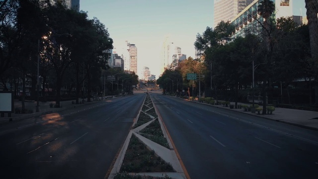 Video Reference: Building, Sky, Road surface, Plant, Asphalt, Tree, Dusk, Mode of transport, Thoroughfare, Atmospheric phenomenon