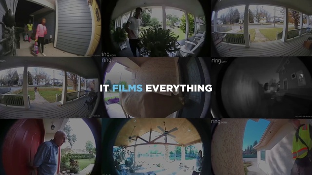 Video Reference: Plant, Green, Product, Automotive tire, Grass, Font, Leisure, Wood, Motor vehicle, Circle