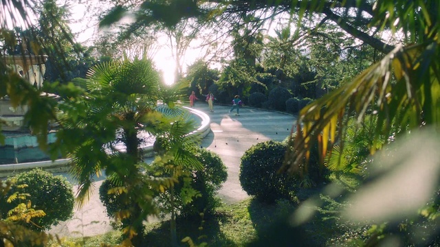 Video Reference: Plant, Sky, Natural landscape, Asphalt, Terrestrial plant, Tree, Road surface, Arecales, Watercourse, Leisure