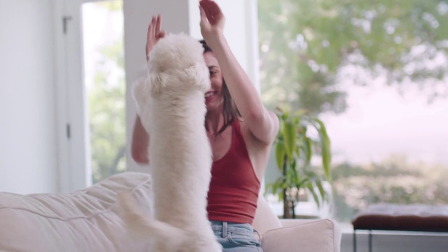 Video Reference: Joint, Comfort, Neck, Gesture, Plant, Happy, Finger, Elbow, Thigh, Waist