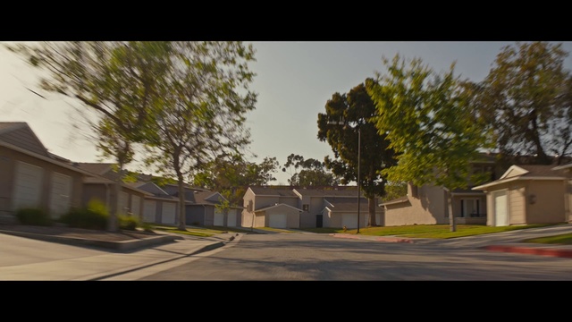 Video Reference: Plant, Sky, Building, Road surface, Window, Asphalt, Tree, Land lot, Shade, House