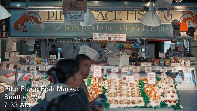 Video Reference: fish market, seafood, indoor market, workers, counter, ice display, price signs, fresh fish, crab, salmon, Seattle, retail, market stall, customers, hanging lamps, morning