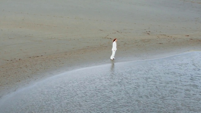 Video Reference: Water, Ecoregion, Liquid, Landscape, Beach, Horizon, Aeolian landform, Wind, Sand, Lake