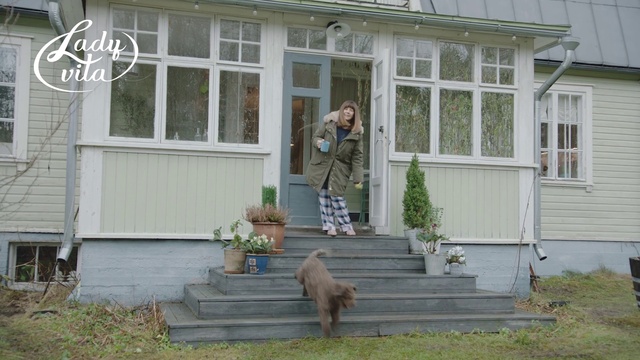 Video Reference: Plant, Property, Window, Building, Stairs, Door, Architecture, Dog, House, Wall