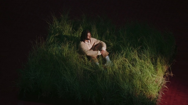 Video Reference: Hand, Leg, People in nature, Flash photography, Happy, Fawn, Grass, Wood, Grassland, Tints and shades