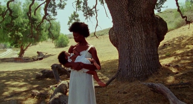 Video Reference: Plant, People in nature, Sky, Dress, Tree, Happy, Grass, Fawn, Trunk, Tints and shades