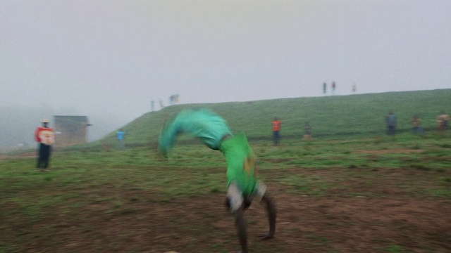 Video Reference: Sky, Beak, Plant, Plain, Grass, Grassland, Wing, Landscape, Hill, Wind