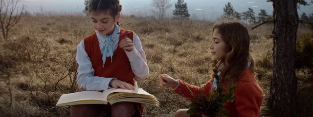 Video Reference: girls, children, outdoors, field, grass, book, reading, tree, nature, daylight, sitting, vintage clothing, red sweater, landscape