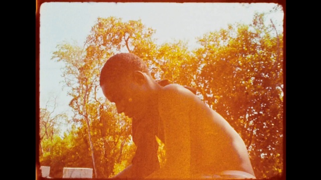 Video Reference: People in nature, Amber, Orange, Sky, Rectangle, Happy, Heat, Tree, Tints and shades, Backlighting