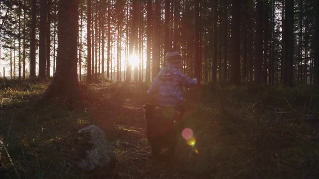 Video Reference: Atmosphere, Plant, People in nature, Natural environment, Wood, Branch, Natural landscape, Tree, Grass, Trunk