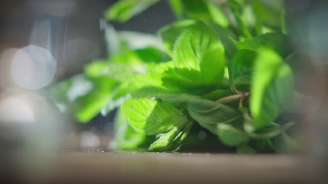 Video Reference: Plant, Terrestrial plant, Grass, Leaf vegetable, Flowering plant, Annual plant, Groundcover, Landscape, Soil, Herb