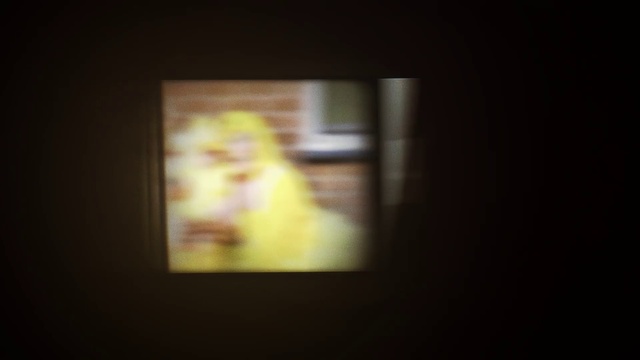 Video Reference: Window, Art, Tints and shades, Font, Event, Display device, Tree, Rectangle, Visual arts, Darkness