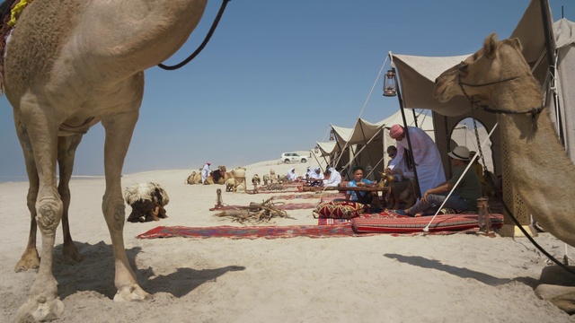 Video Reference: Sky, Natural environment, Working animal, Landscape, Travel, Tent, Sand, Wood, Pack animal, Terrestrial animal
