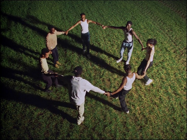 Video Reference: People in nature, Flash photography, Gesture, Grass, Happy, Shorts, Fun, Event, Leisure, Recreation