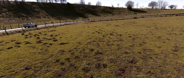 Video Reference: Plant, Ecoregion, Sky, Natural landscape, Tree, Land lot, Slope, Grass, Grassland, Landscape