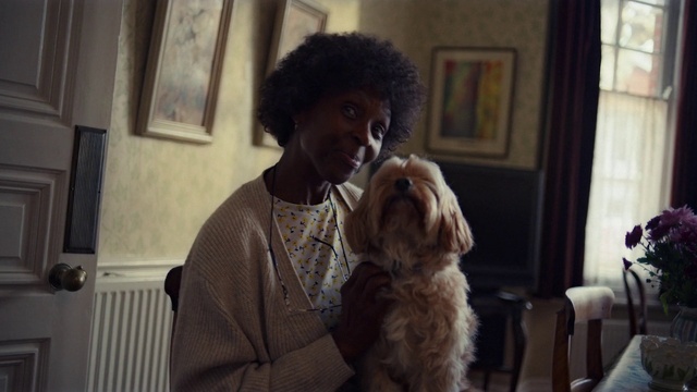 Video Reference: Dog, Picture frame, Fawn, Dog breed, Carnivore, Jheri curl, Companion dog, Snout, Chair, Comfort
